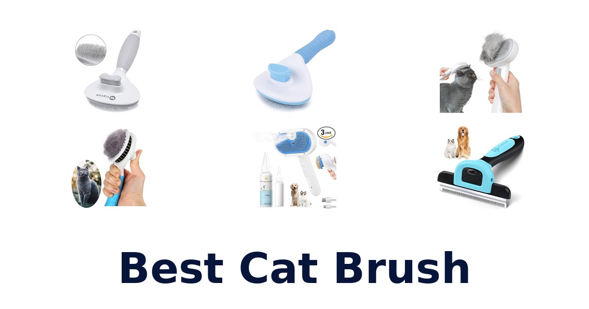 best cat brush