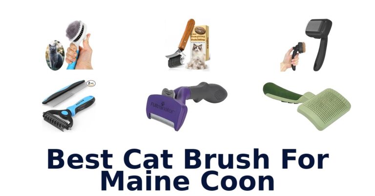 best cat brush for maine coon