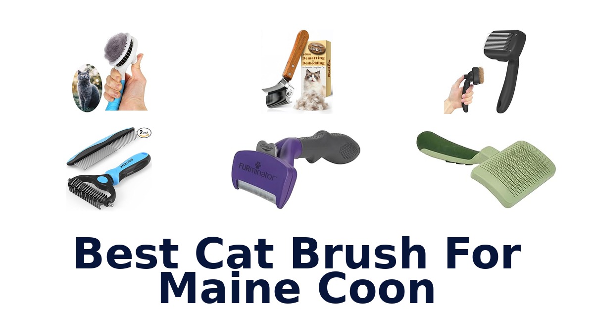 best cat brush for maine coon