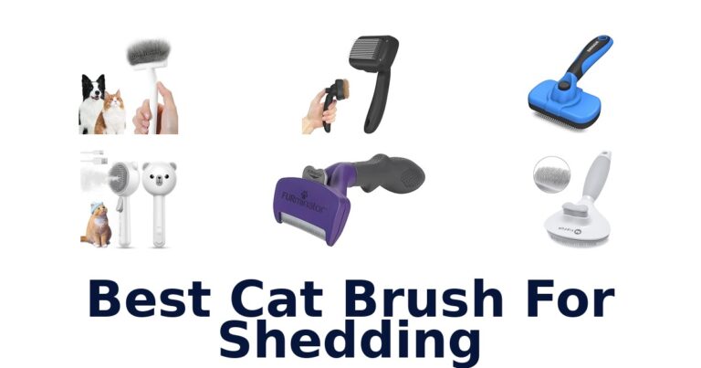 best cat brush for shedding