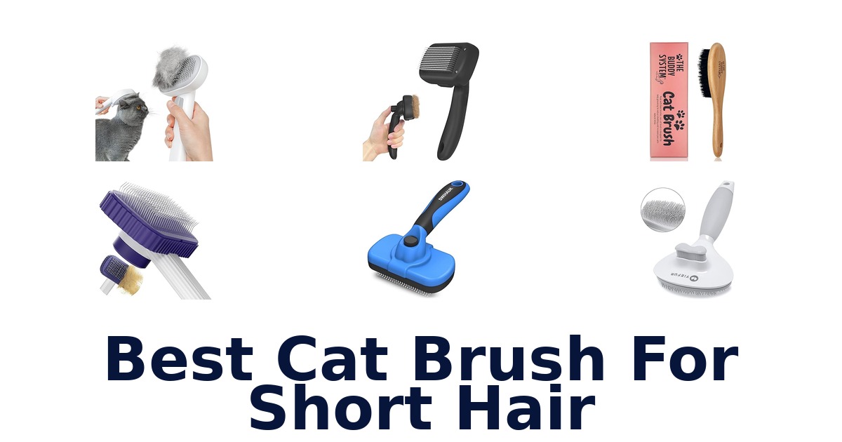 best cat brush for short hair