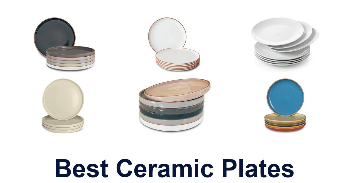 best ceramic plates