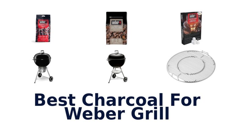 best charcoal for weber grill