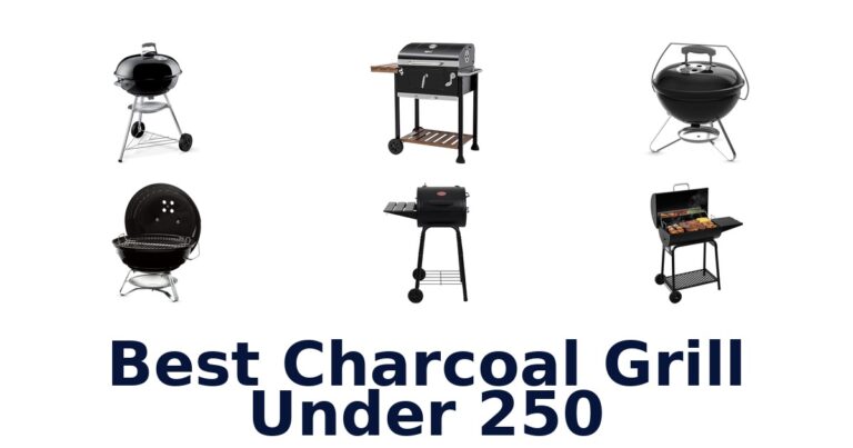 best charcoal grill under 250