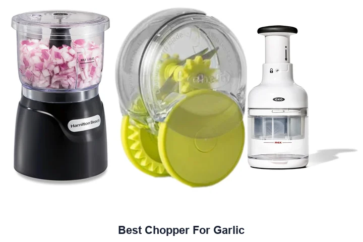 Best Chopper For Garlic