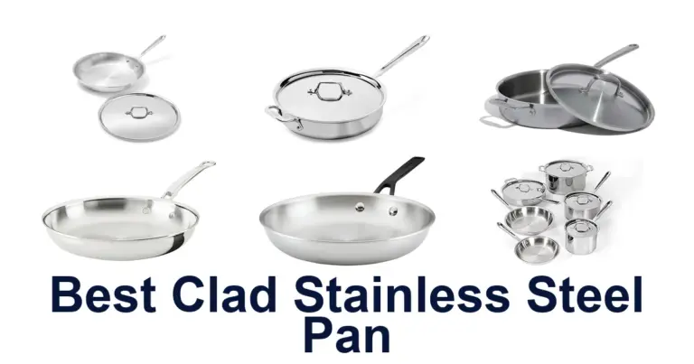 best clad stainless steel pan