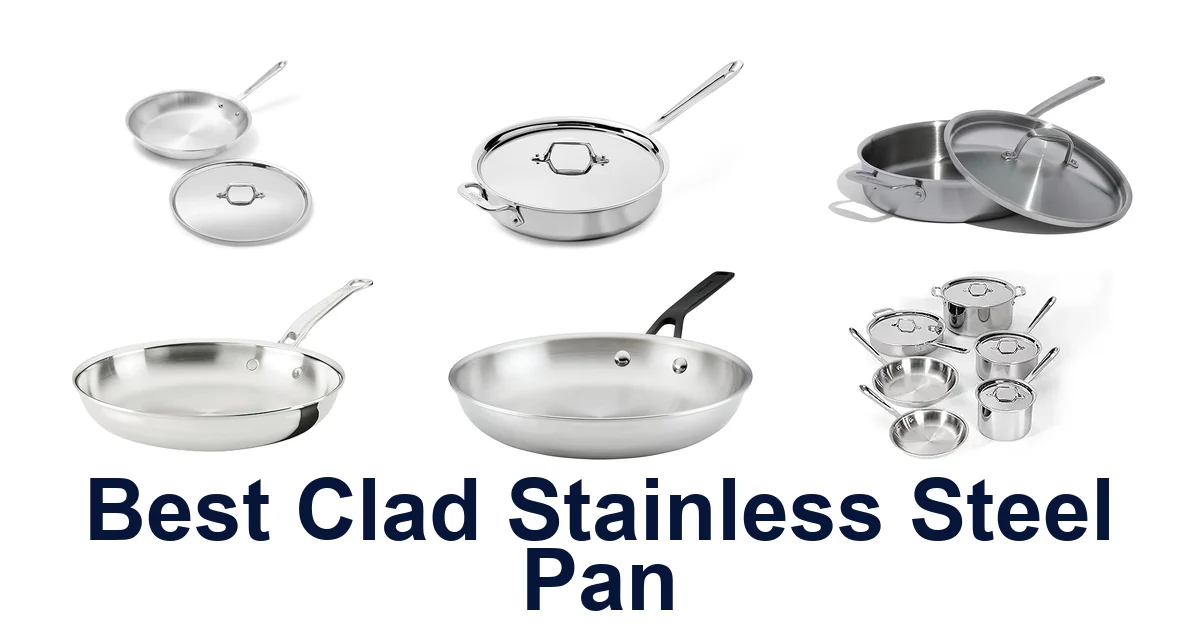 best clad stainless steel pan