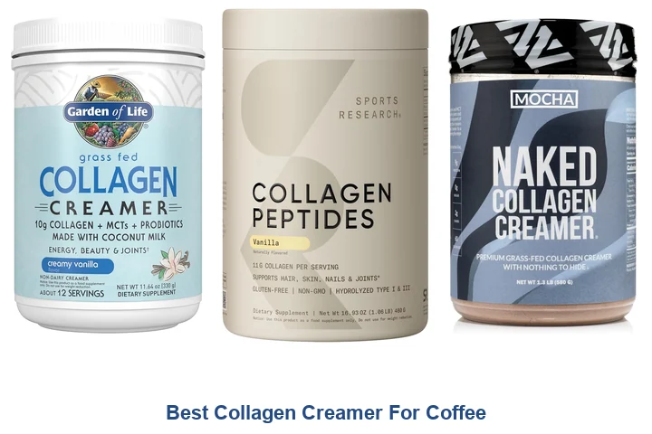 Best Collagen Creamer For Coffee