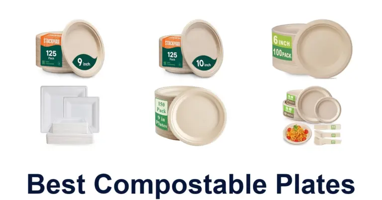 best compostable plates