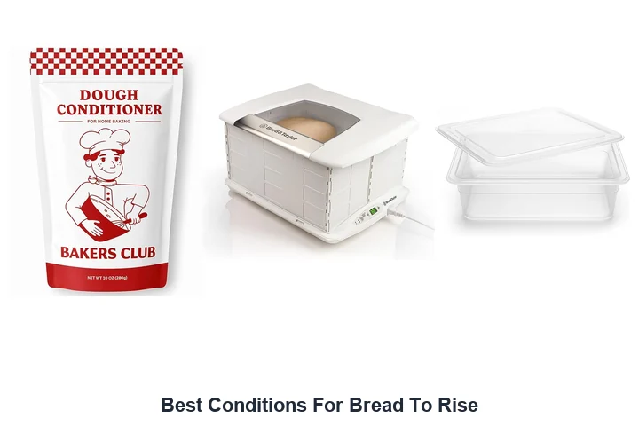 Best Conditions For Bread To Rise