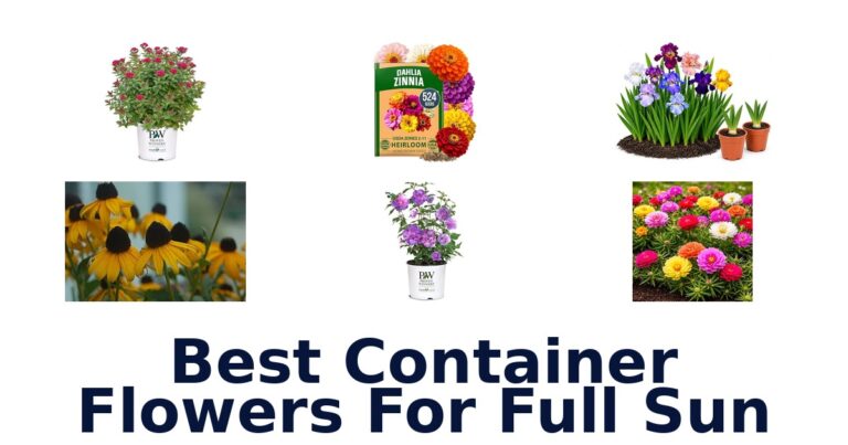 best container flowers for full sun