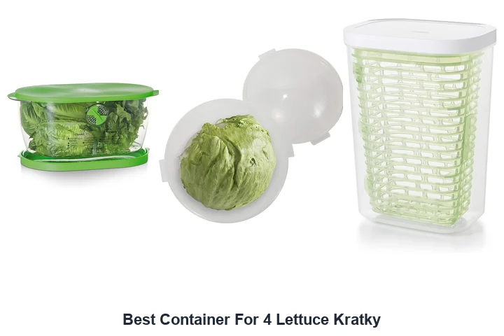 Best Container For 4 Lettuce Kratky