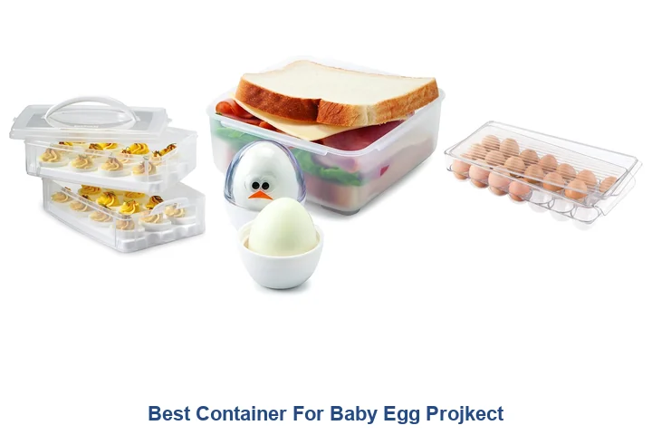 Best Container For Baby Egg Projkect