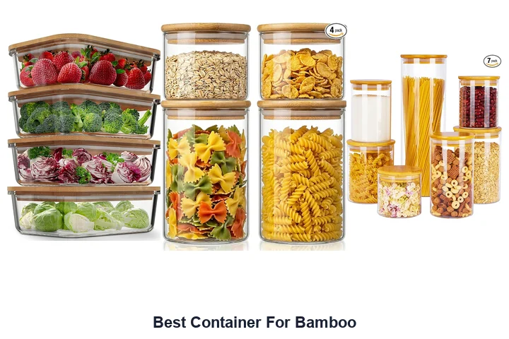 Best Container For Bamboo