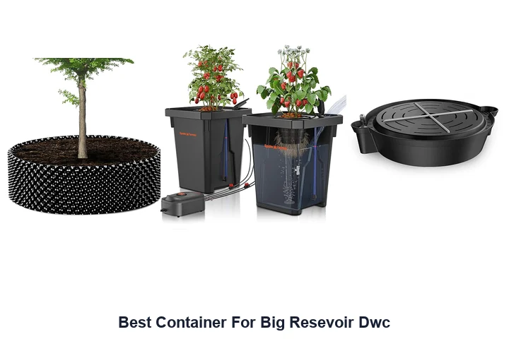 Best Container For Big Resevoir Dwc
