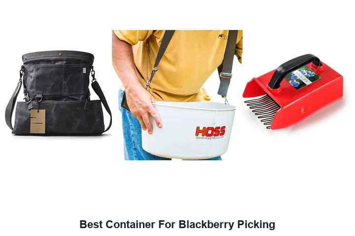Best Container For Blackberry Picking