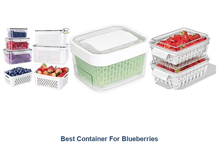 Best Container For Blueberries