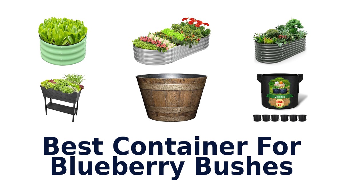 best container for blueberry bushes