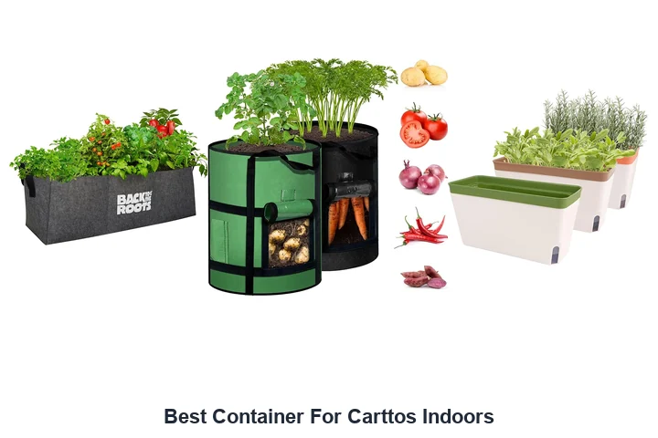 Best Container For Carttos Indoors