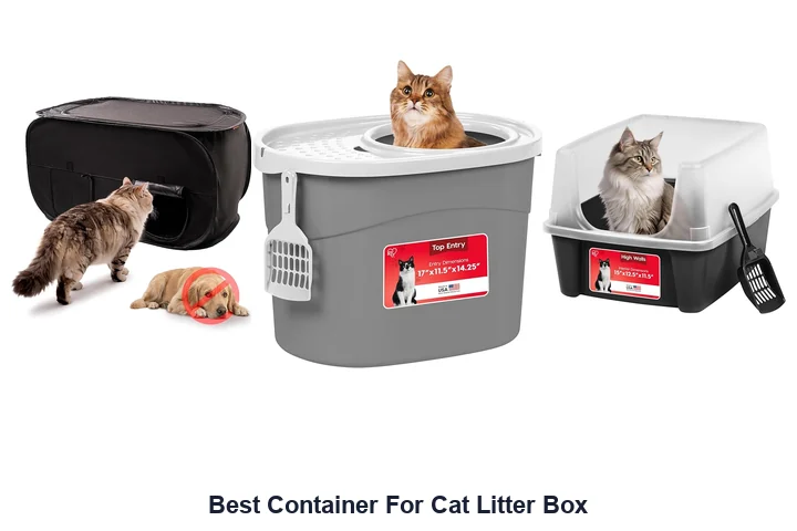 Best Container For Cat Litter Box