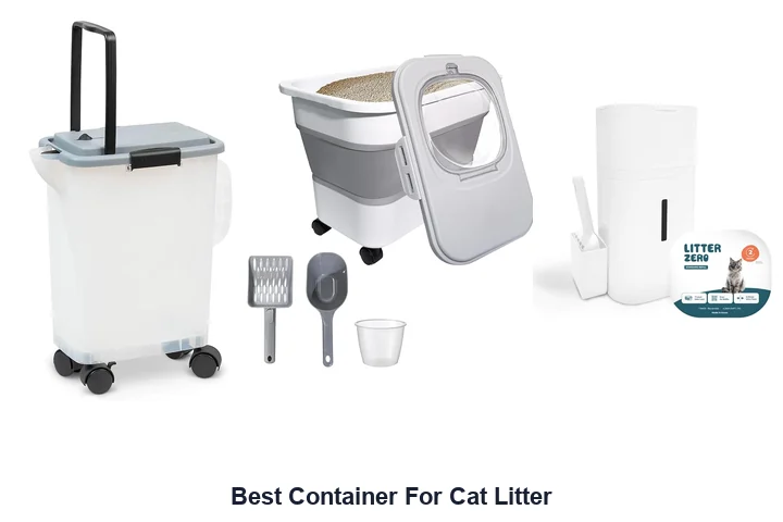 Best Container For Cat Litter