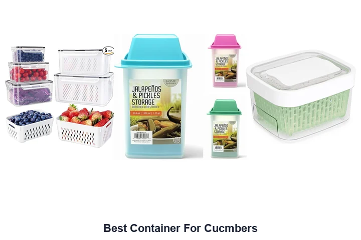 Best Container For Cucmbers
