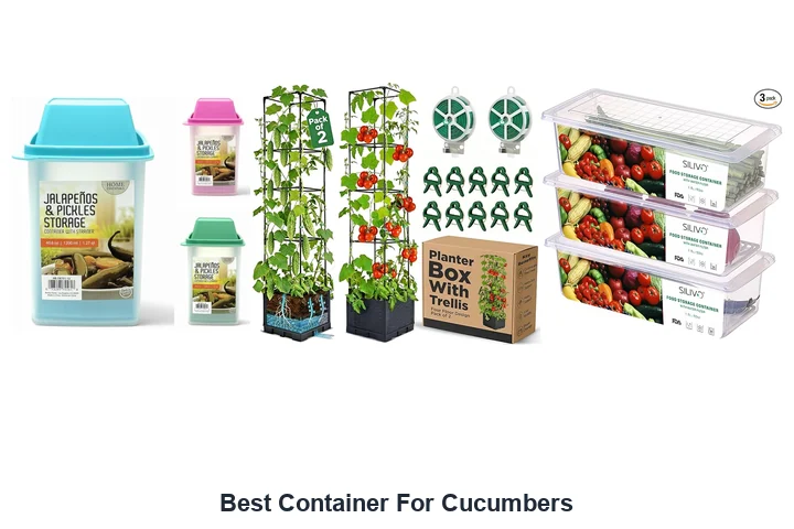 Best Container For Cucumbers