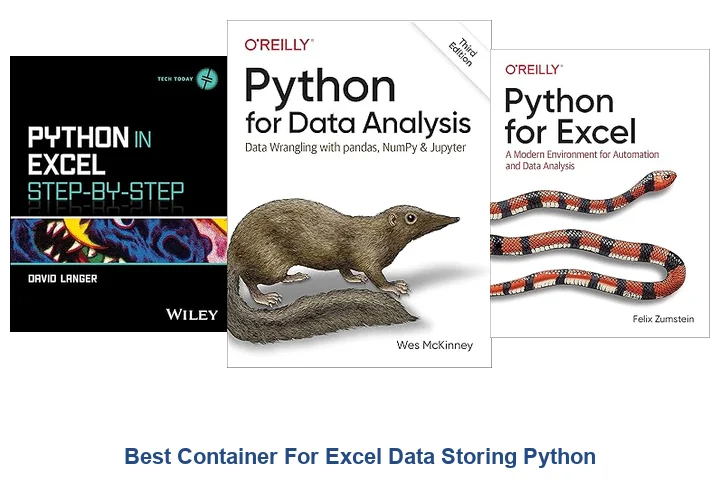 Best Container For Excel Data Storing Python