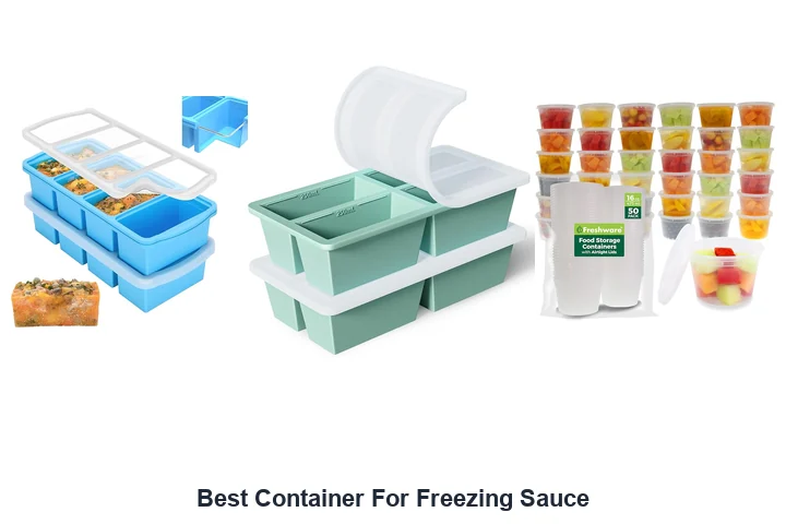 Best Container For Freezing Sauce