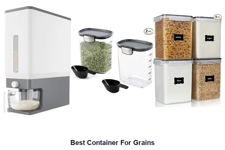 Best Container For Grains