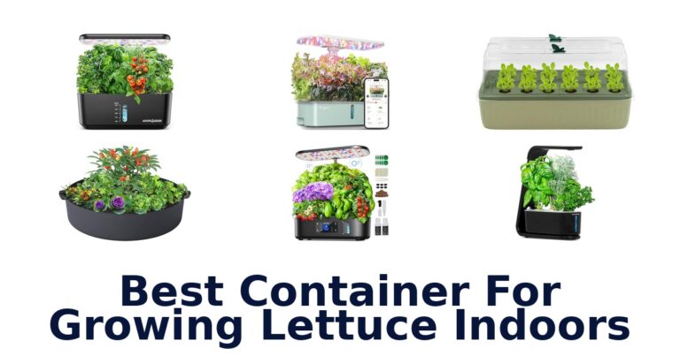 best container for growing lettuce indoors