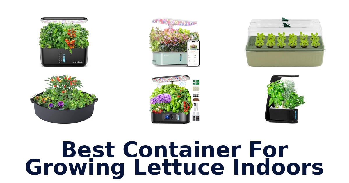 best container for growing lettuce indoors