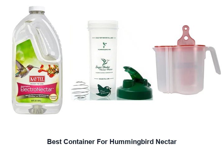 Best Container For Hummingbird Nectar