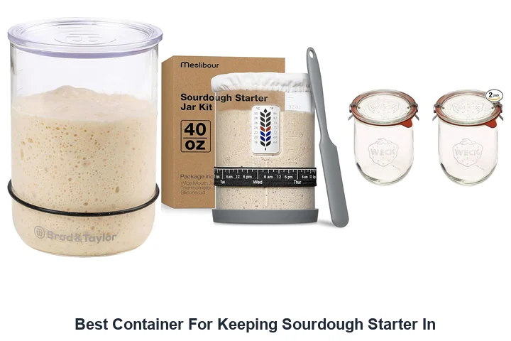 Best Container For Keeping Sourdough Starter In