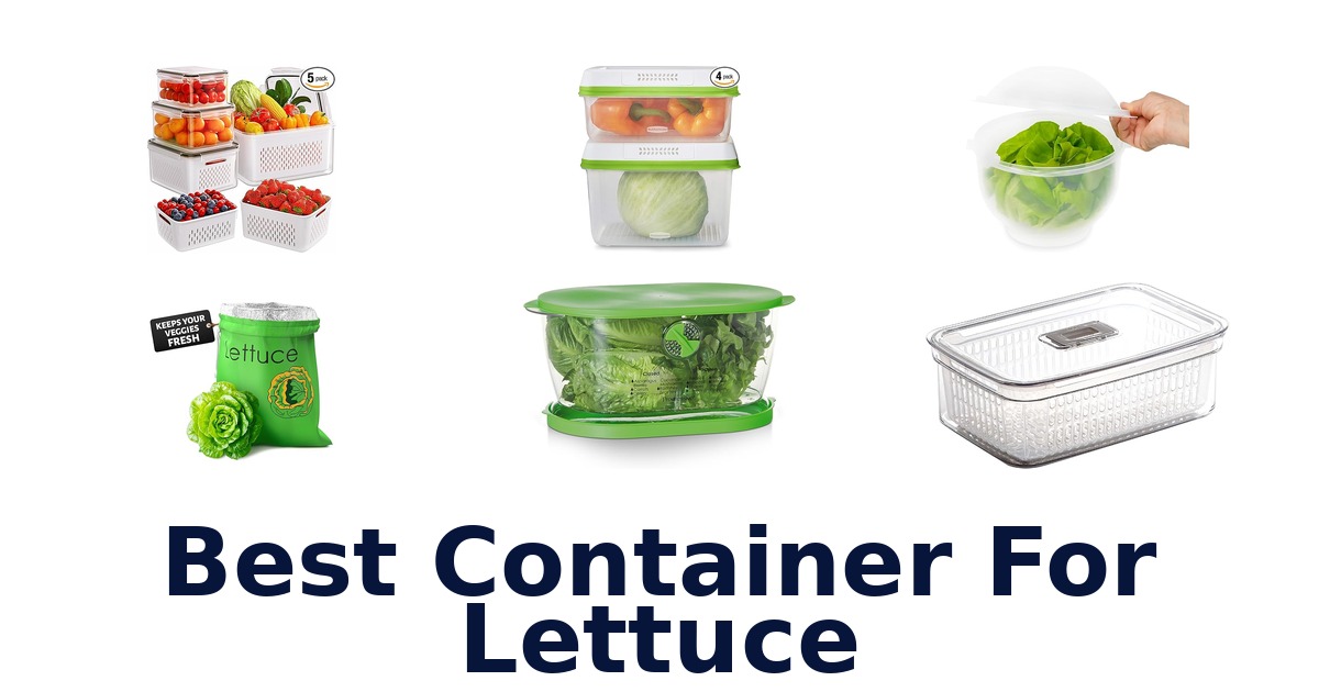 best container for lettuce