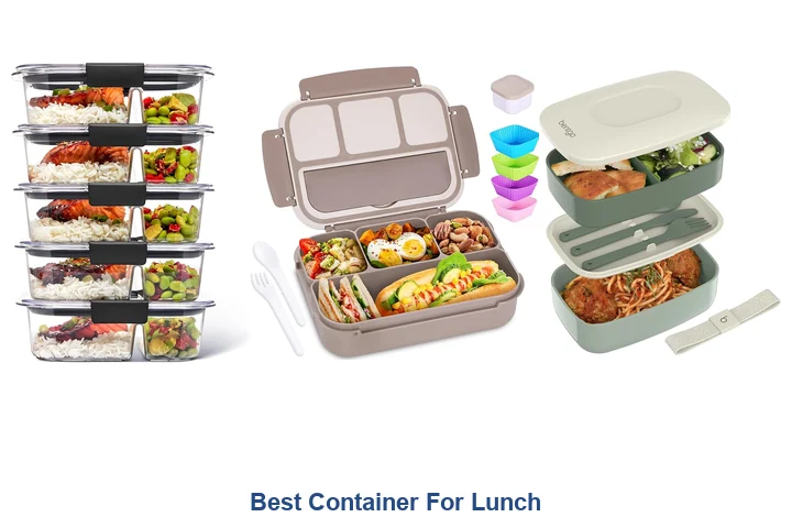 Best Container For Lunch