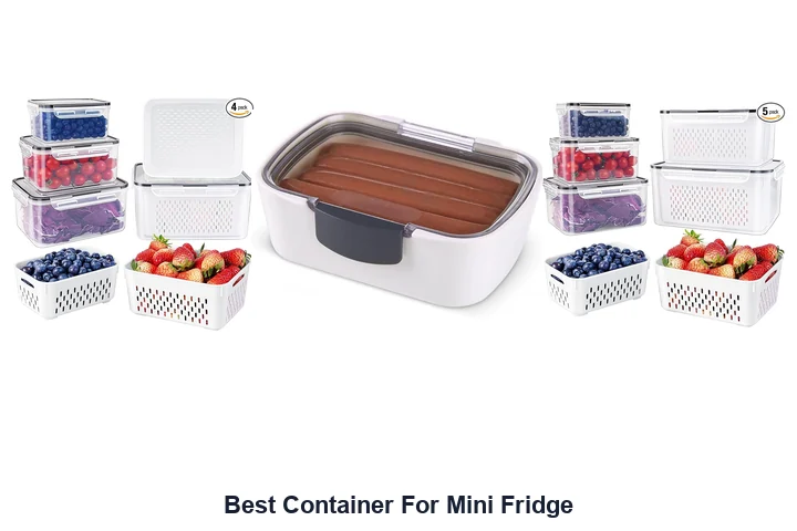 Best Container For Mini Fridge