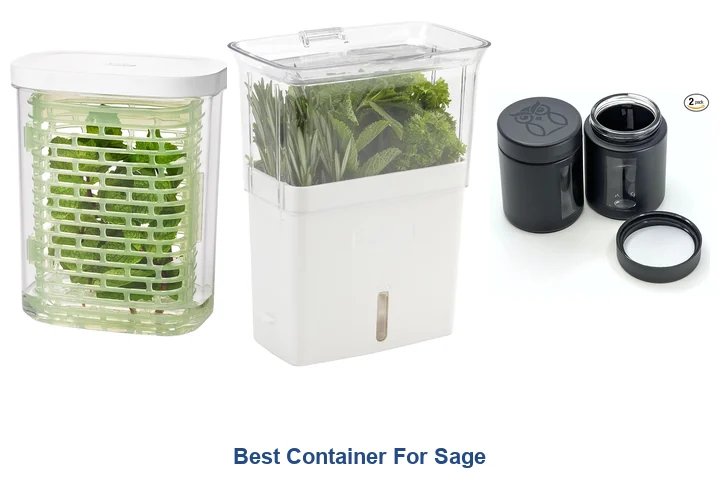 Best Container For Sage