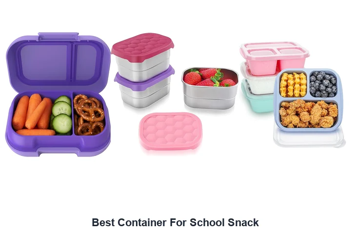Best Container For School Snack