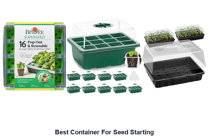 Best Container For Seed Starting
