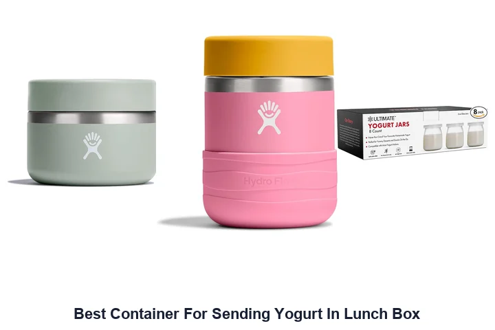 Best Container For Sending Yogurt In Lunch Box