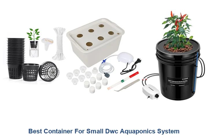 Best Container For Small Dwc Aquaponics System