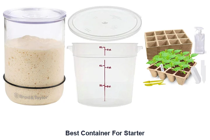 Best Container For Starter