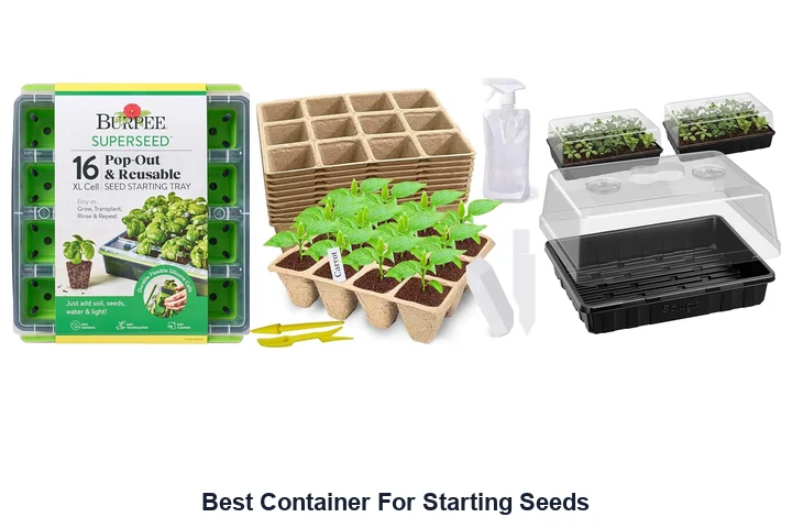 Best Container For Starting Seeds