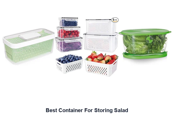 Best Container For Storing Salad
