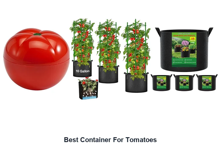 Best Container For Tomatoes