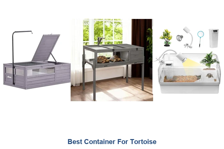 Best Container For Tortoise