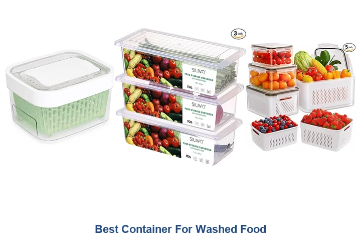 Best Container For Washed Food
