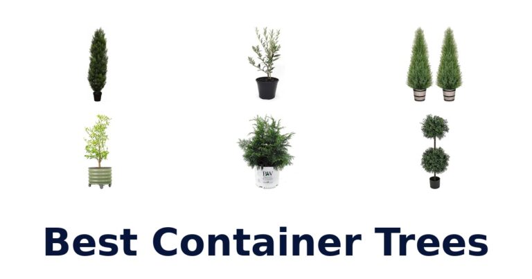 best container trees