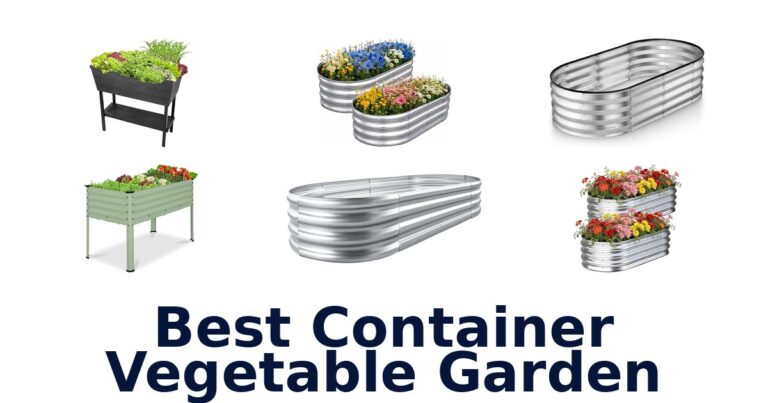 best container vegetable garden